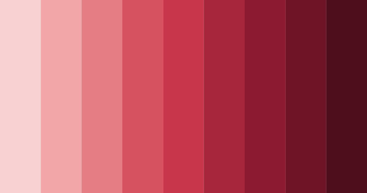 Download crimson bouquet color palette PNG image (landscape)