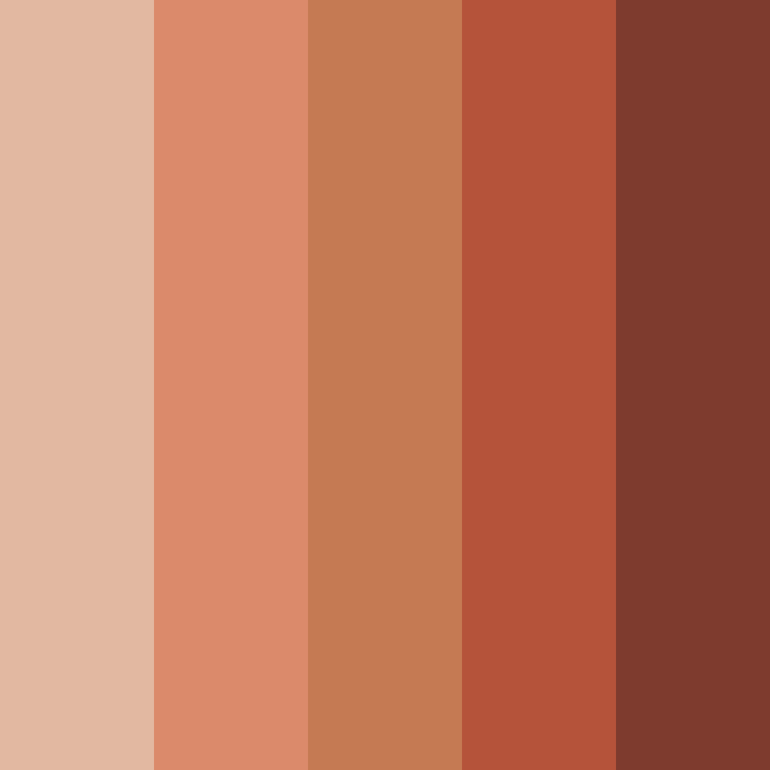 Download terracotta tones color palette PNG image (square)