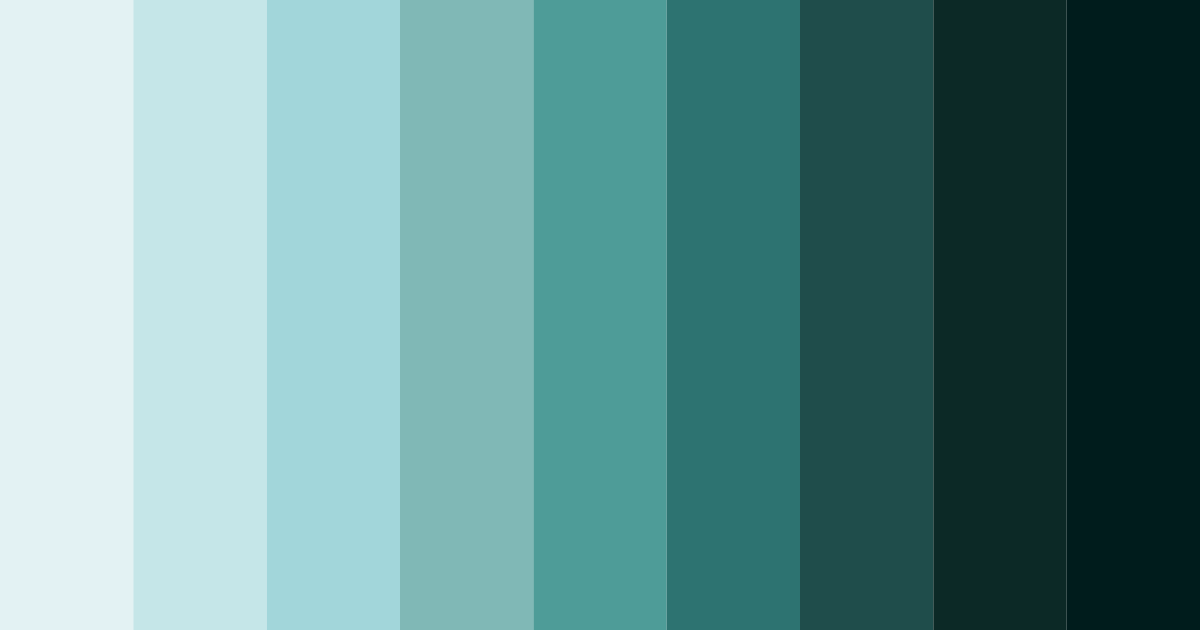 Download teal dumpling color palette PNG image (landscape)