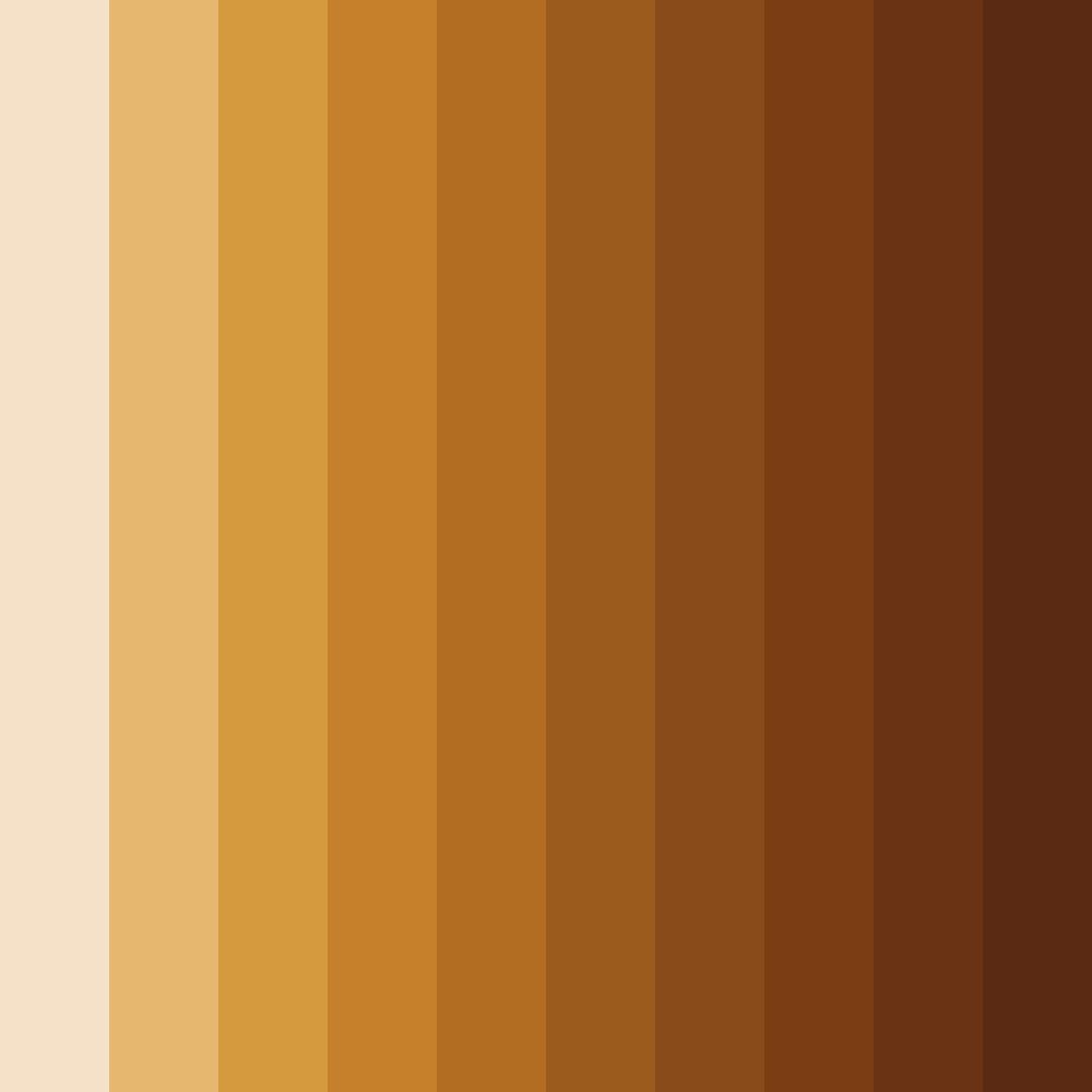 Download bronzed ember glow color palette PNG image (square)