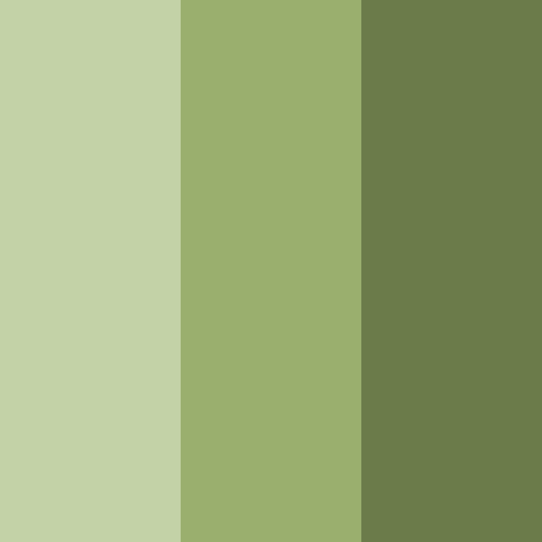 Download olive orchard serenity color palette PNG image (square)