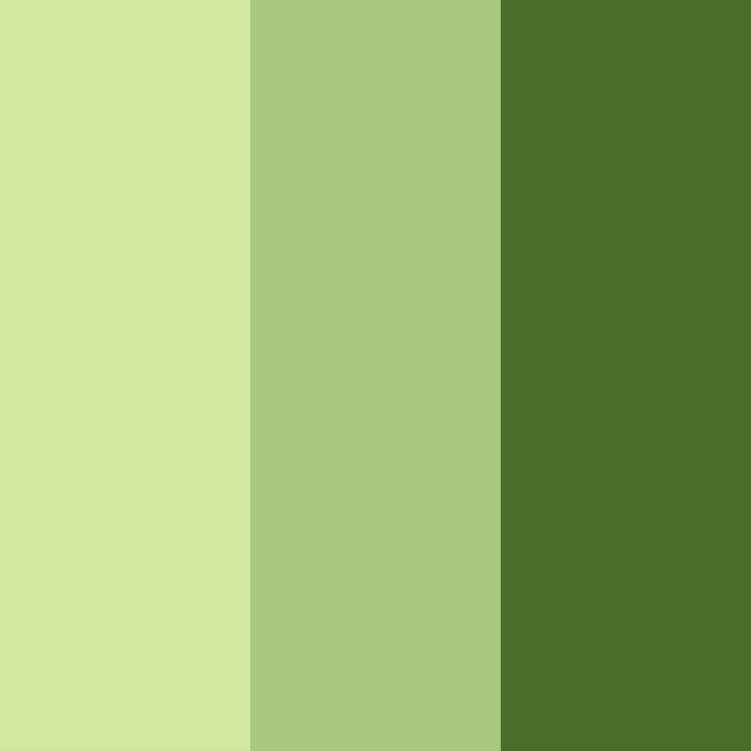 Download olive grove serenity color palette PNG image (square)