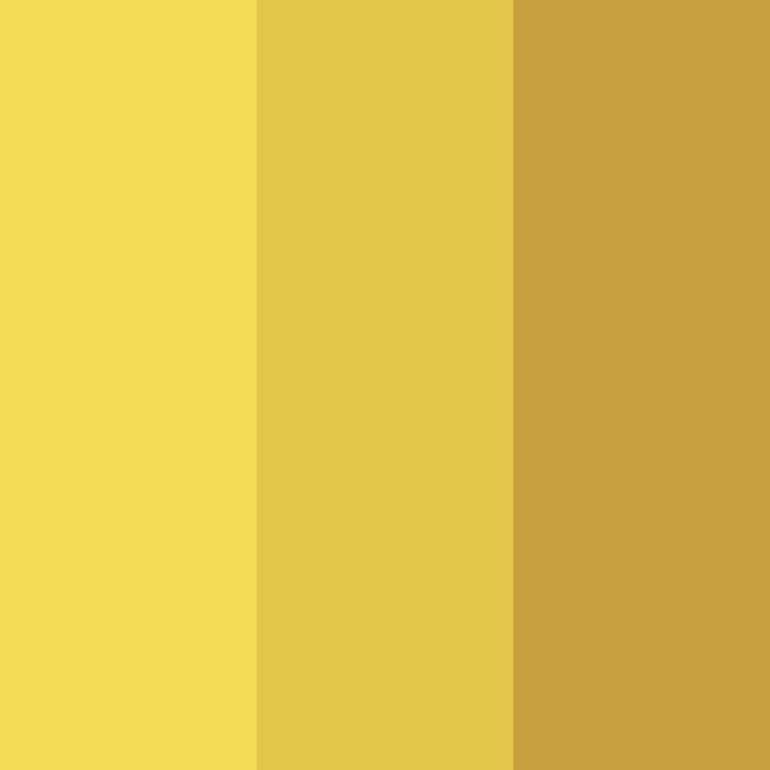 Download sunlit harvest color palette PNG image (square)