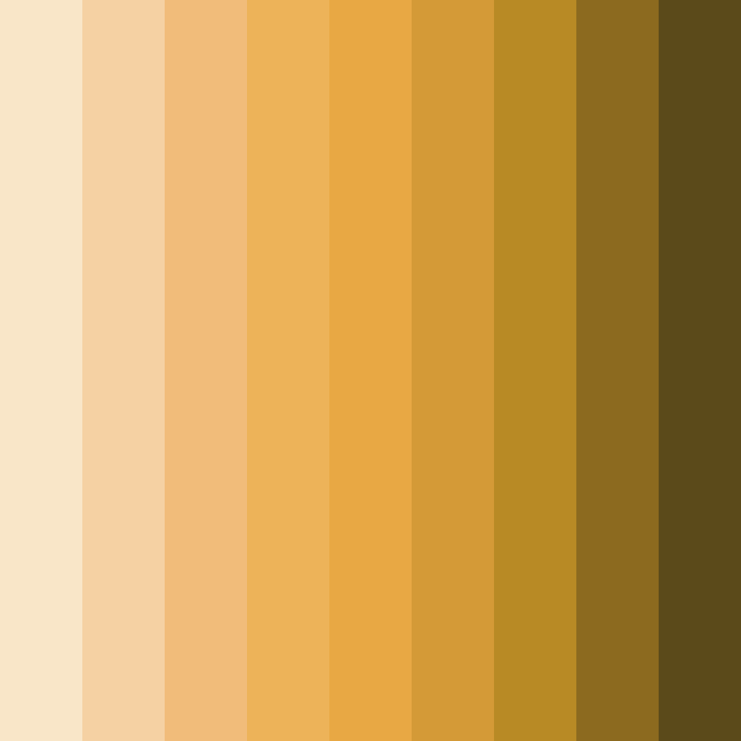 Download beige sunshine color palette PNG image (square)