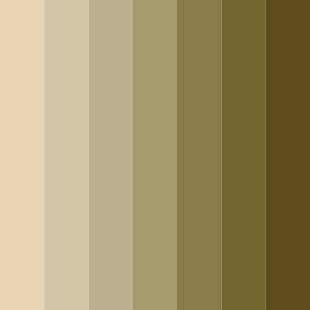 Download kakhi shades color palette PNG image (square)