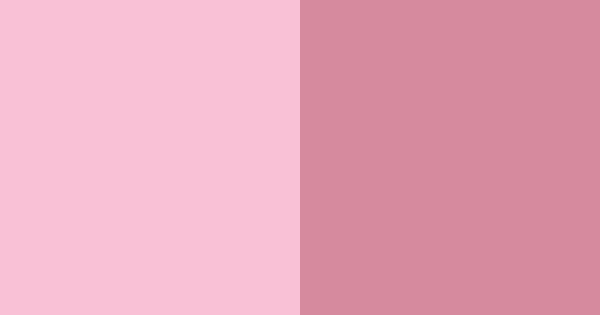 Download warm pink color palette PNG image (landscape)