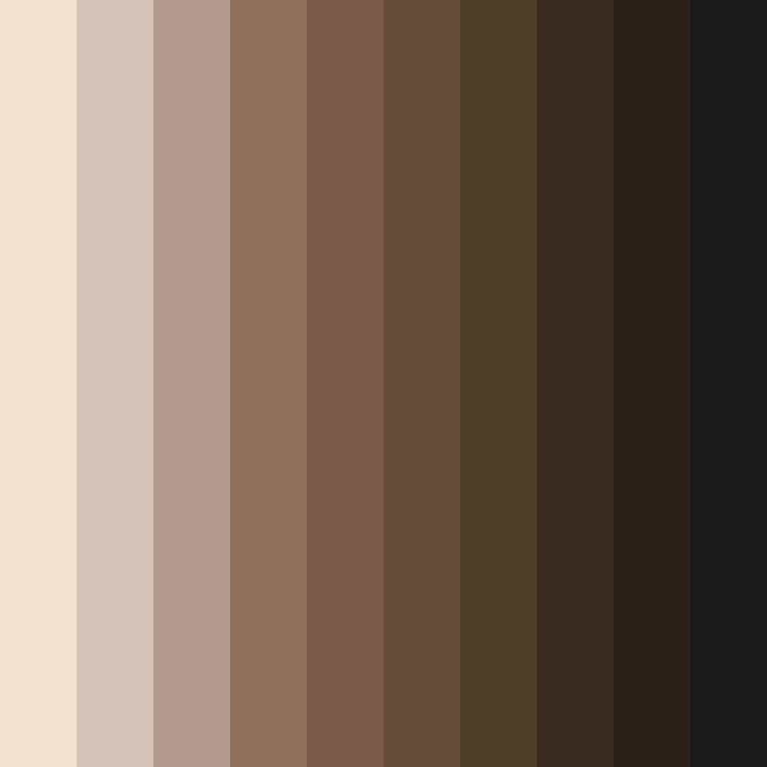 Download whiskered warmth color palette PNG image (square)