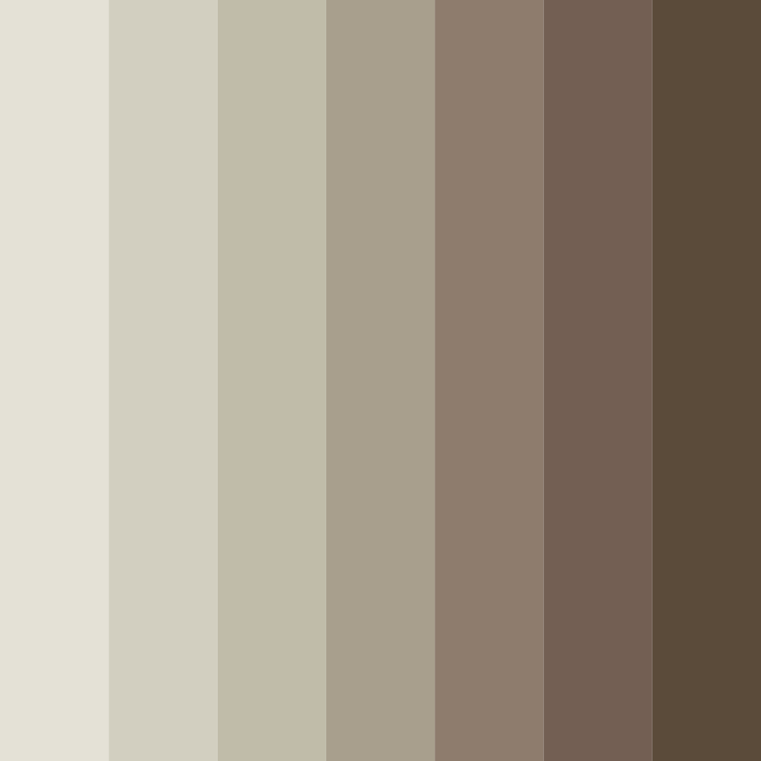 Download neutral brown color palette PNG image (square)