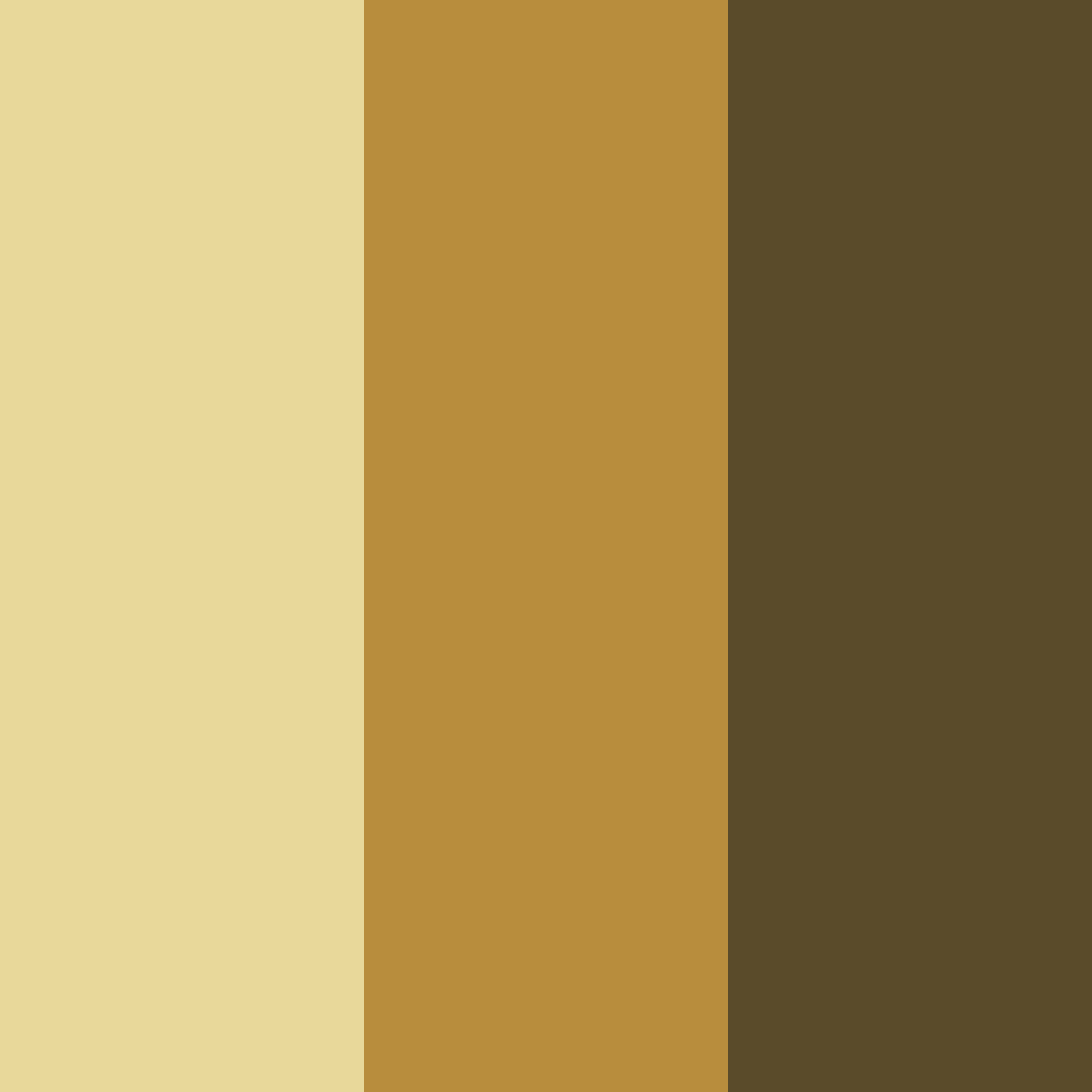 Download golden black color palette PNG image (square)