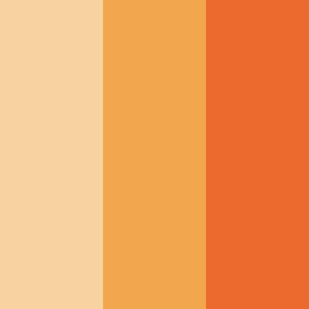 Download cinnamon sunrise color palette PNG image (square)