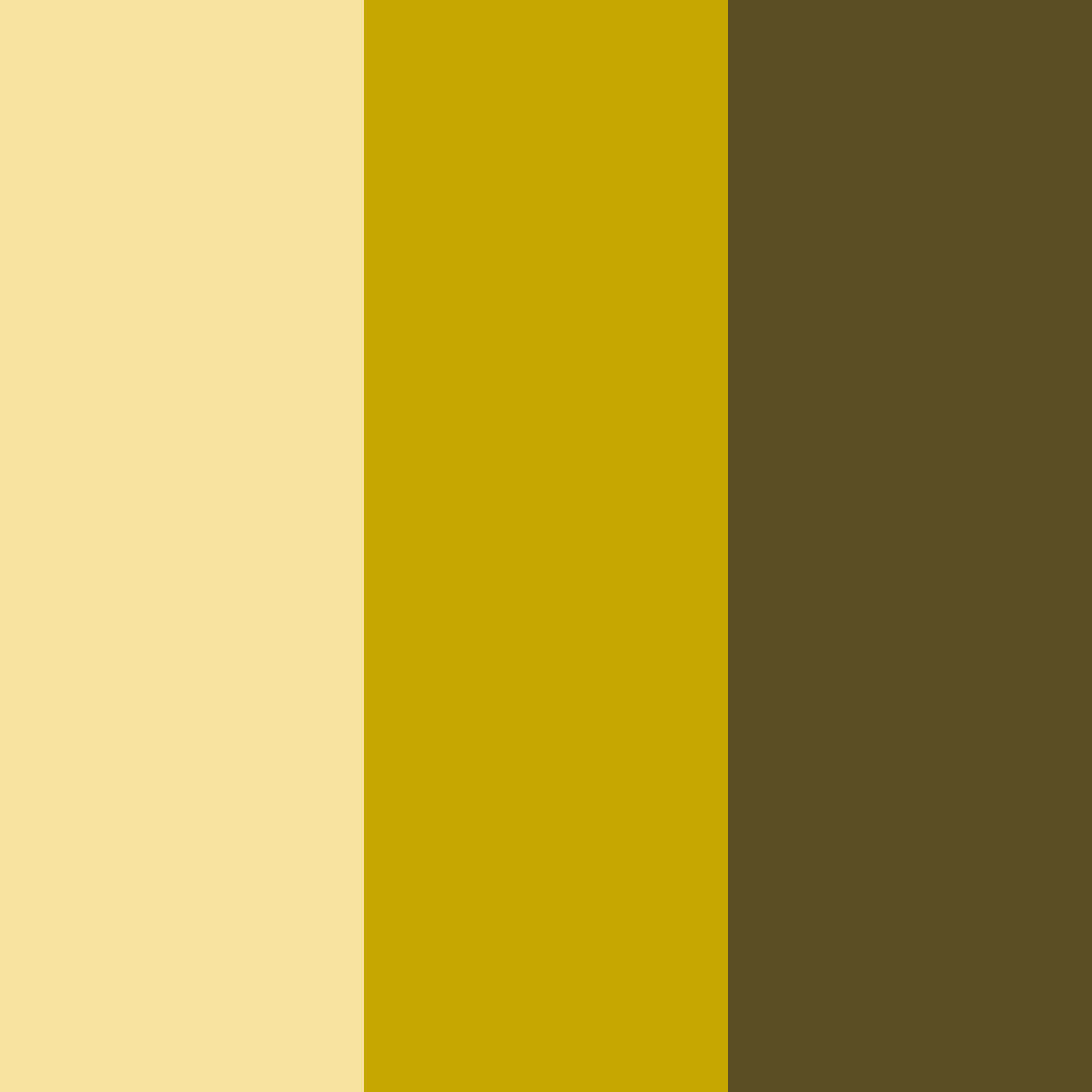 Download golden athletic fusion color palette PNG image (square)