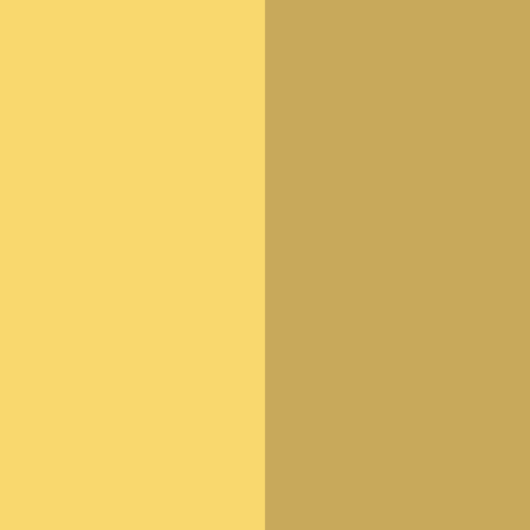 Download golden meadow breeze color palette PNG image (square)