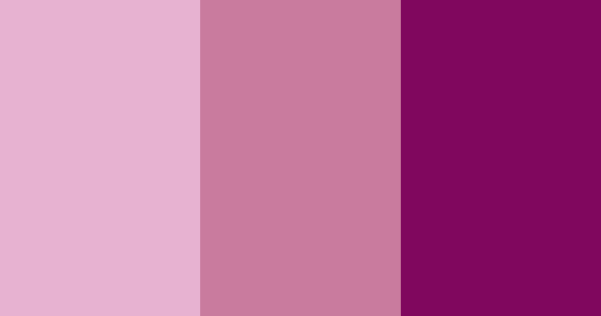 Download dark pink color palette PNG image (landscape)