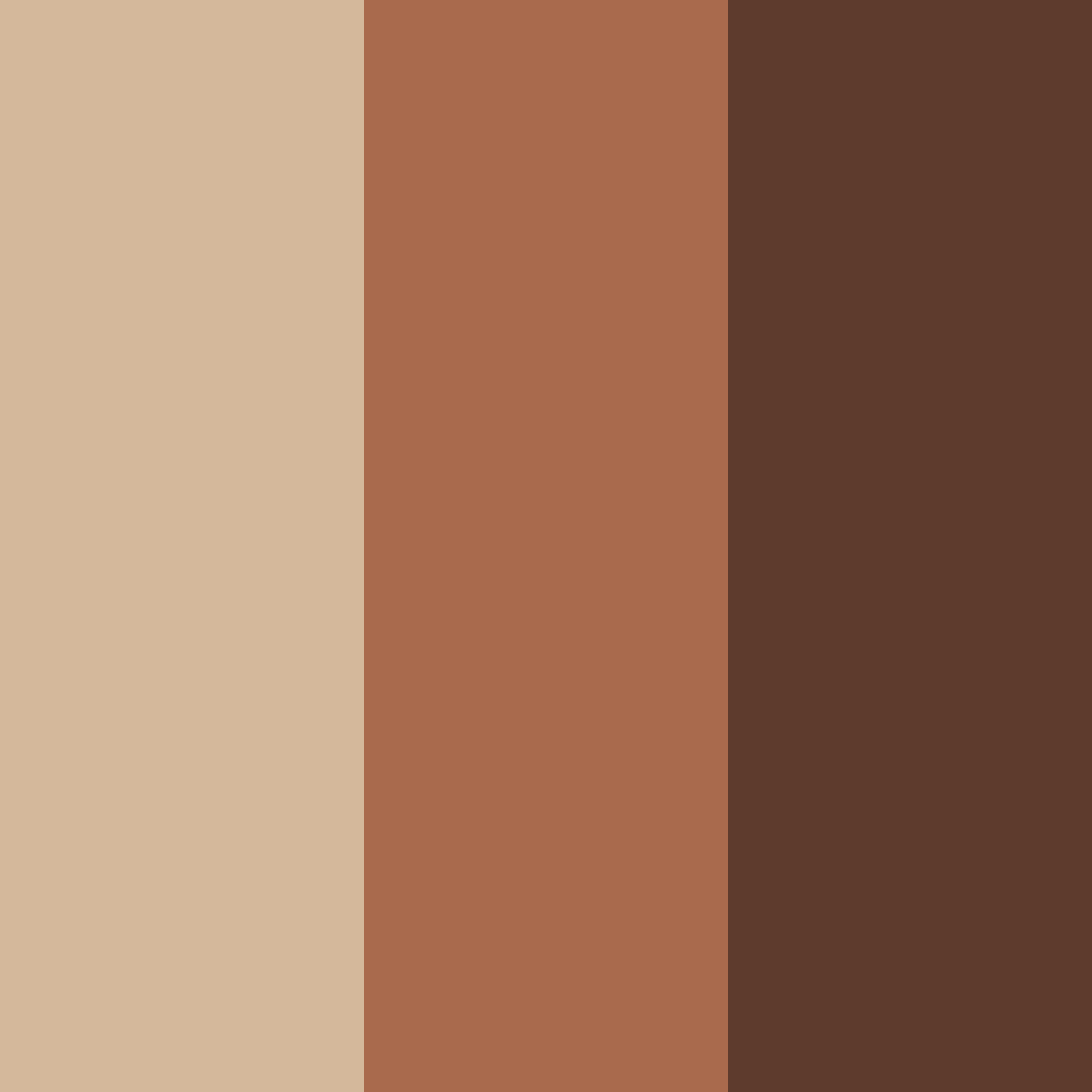 Download warm brown color palette PNG image (square)