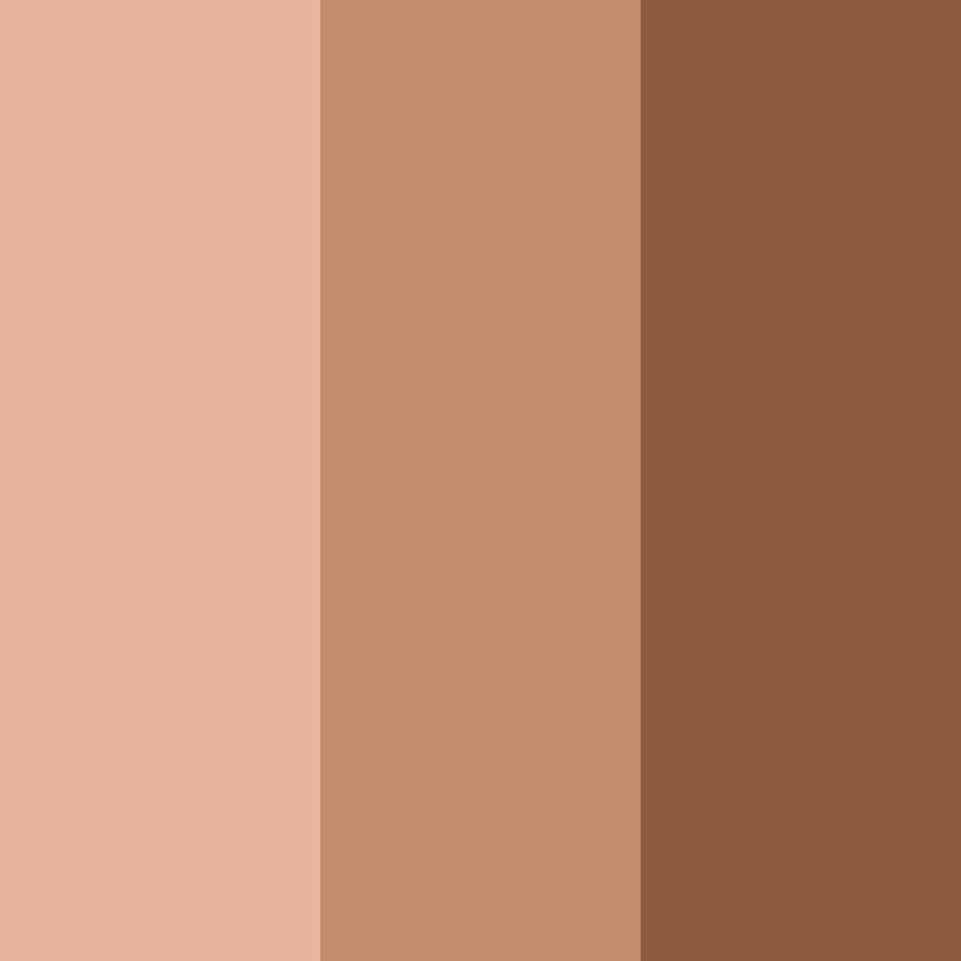 Download coco brown color palette PNG image (square)