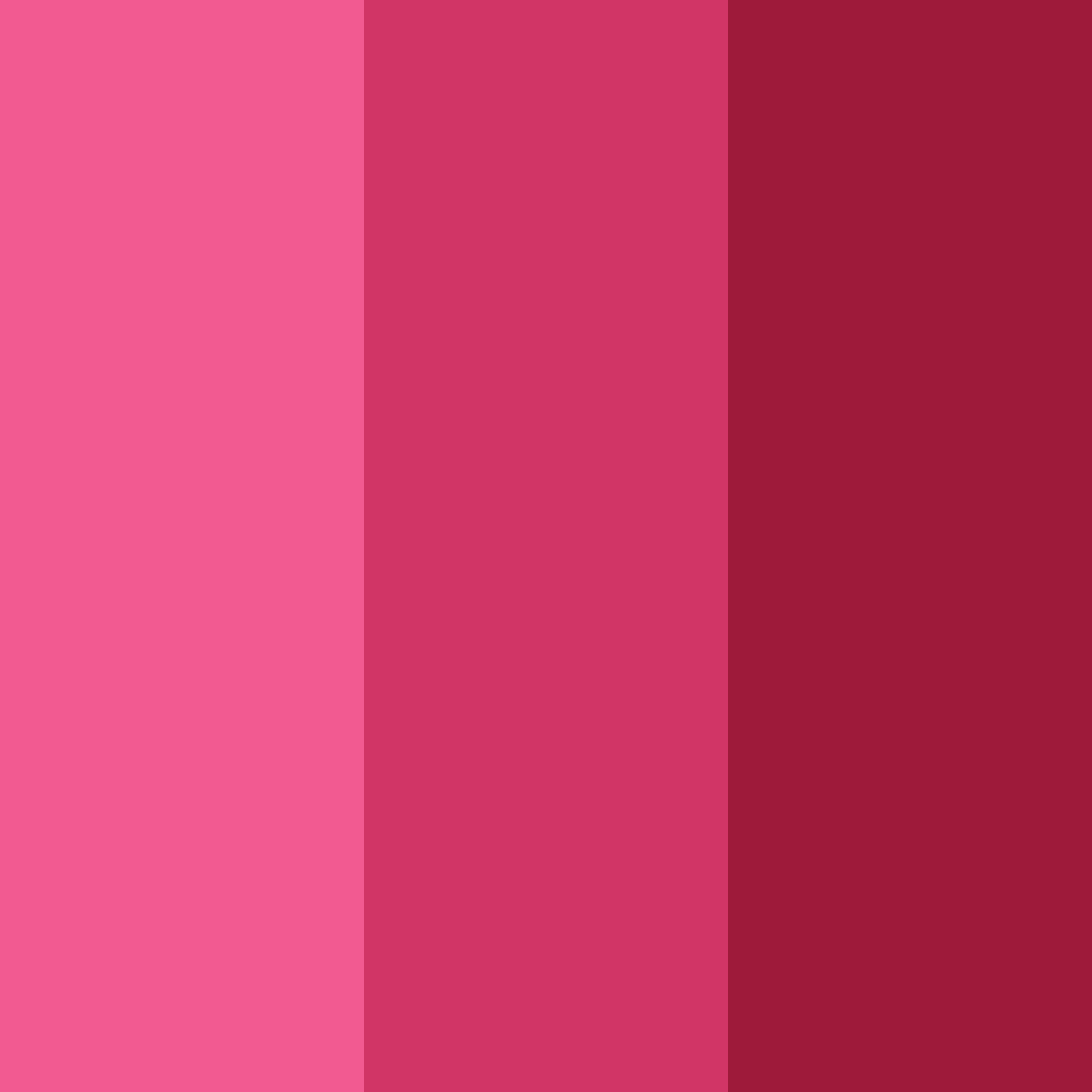 Download raspberry delight color palette PNG image (square)