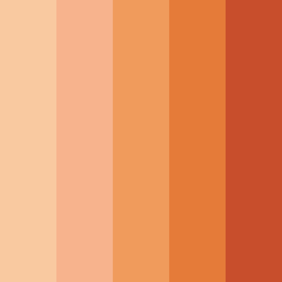 Download carnival sunset color palette PNG image (square)