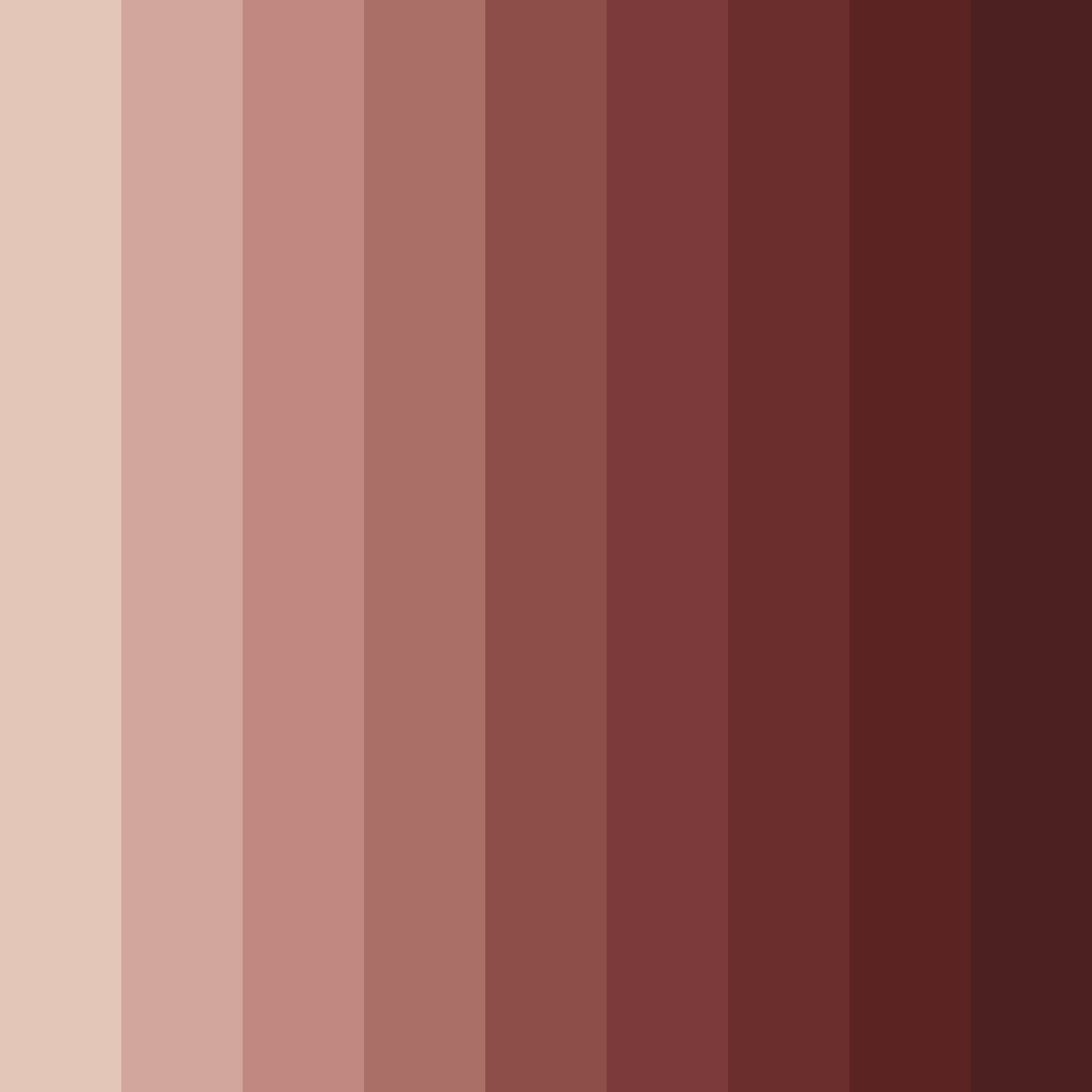 Download dark brown shades color palette PNG image (square)