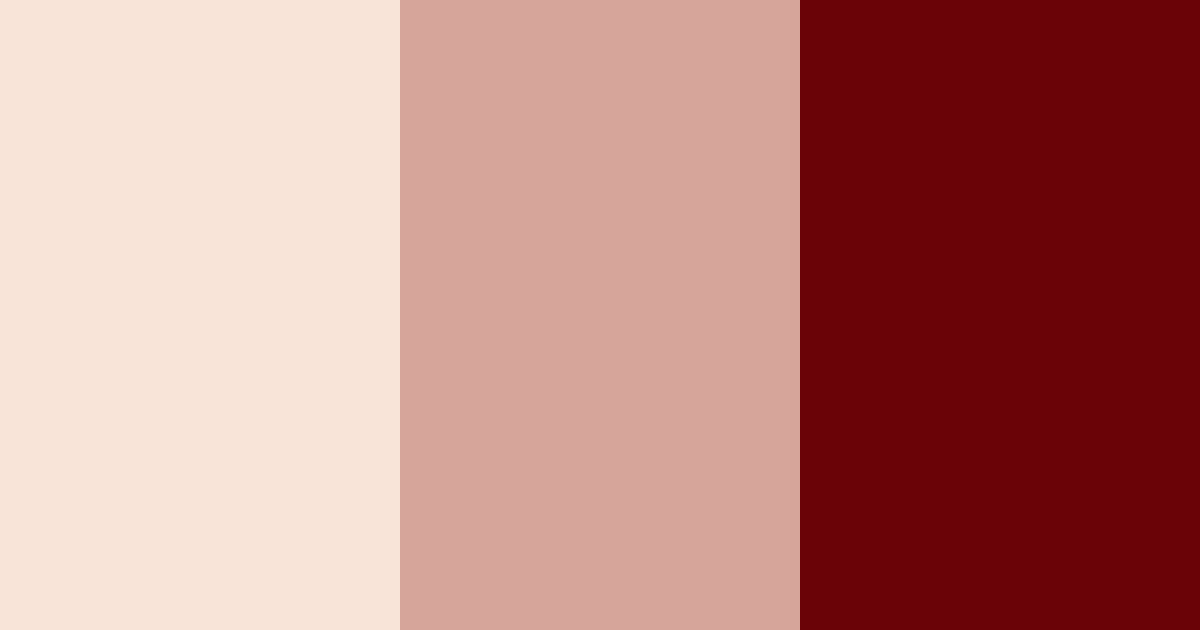 Download rosewood blush color palette PNG image (landscape)