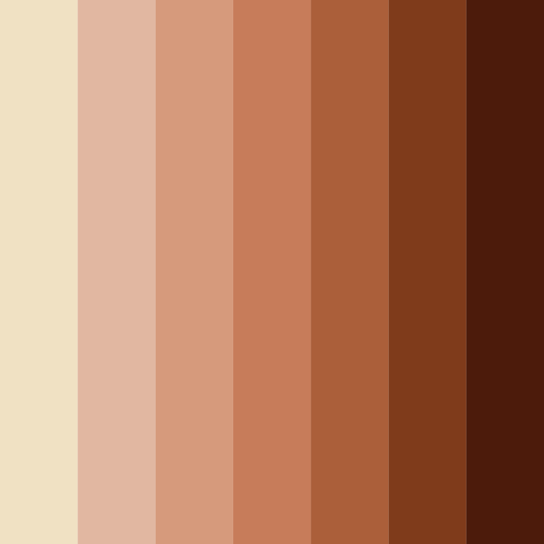 Download warm brown color palette PNG image (square)