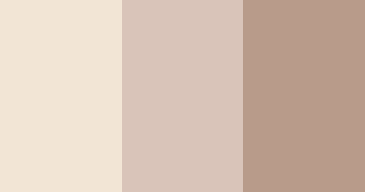 Download café serenity color palette PNG image (landscape)