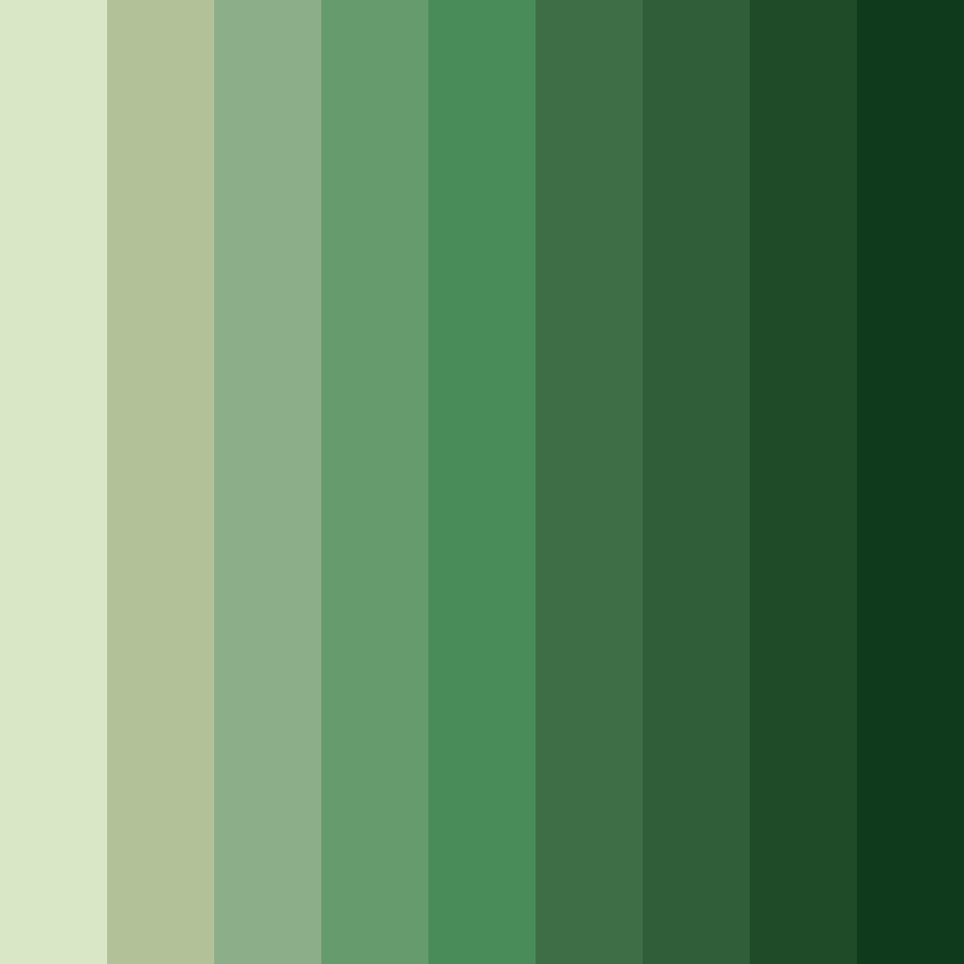 Download forest embrace color palette PNG image (square)