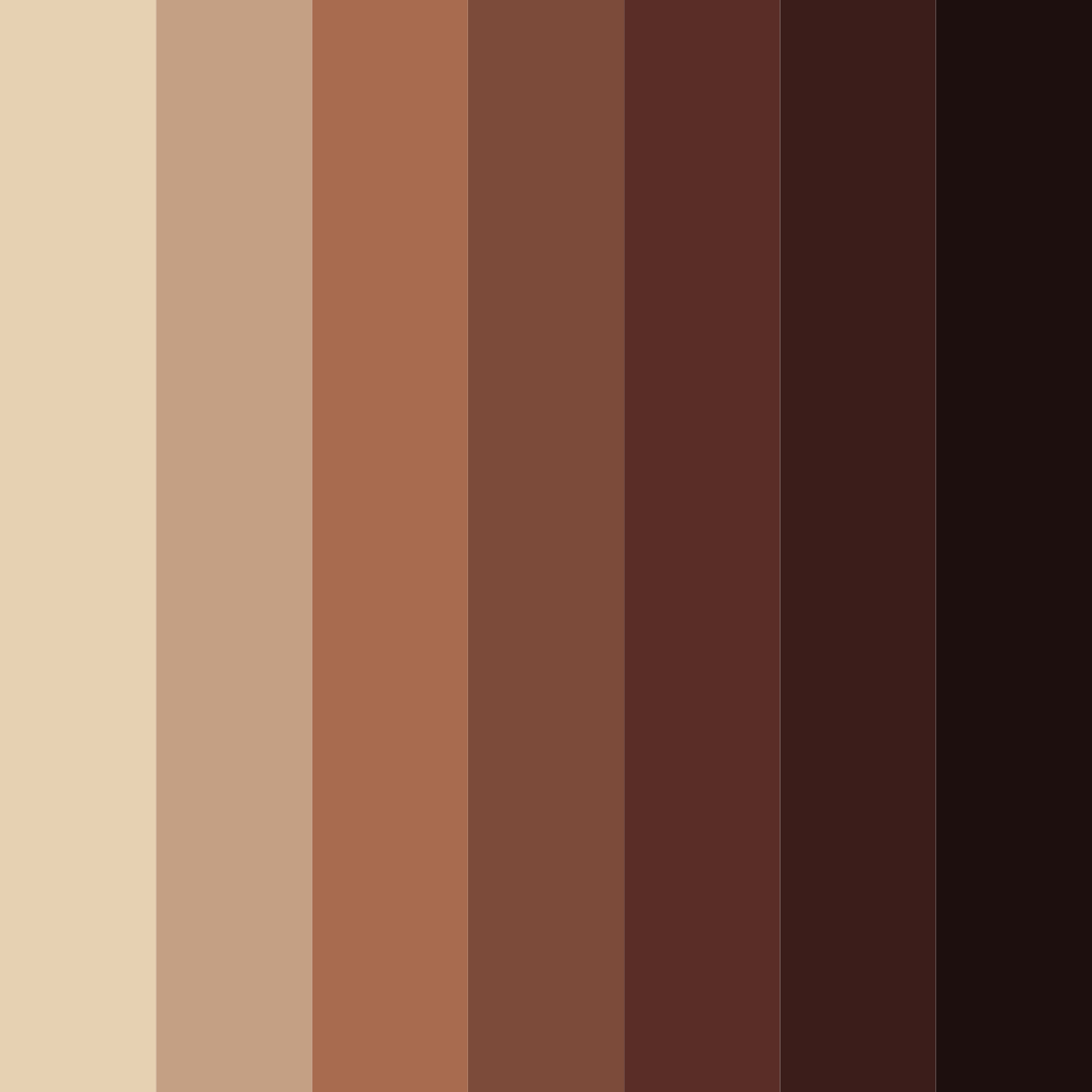 Download brown coffee color palette PNG image (square)