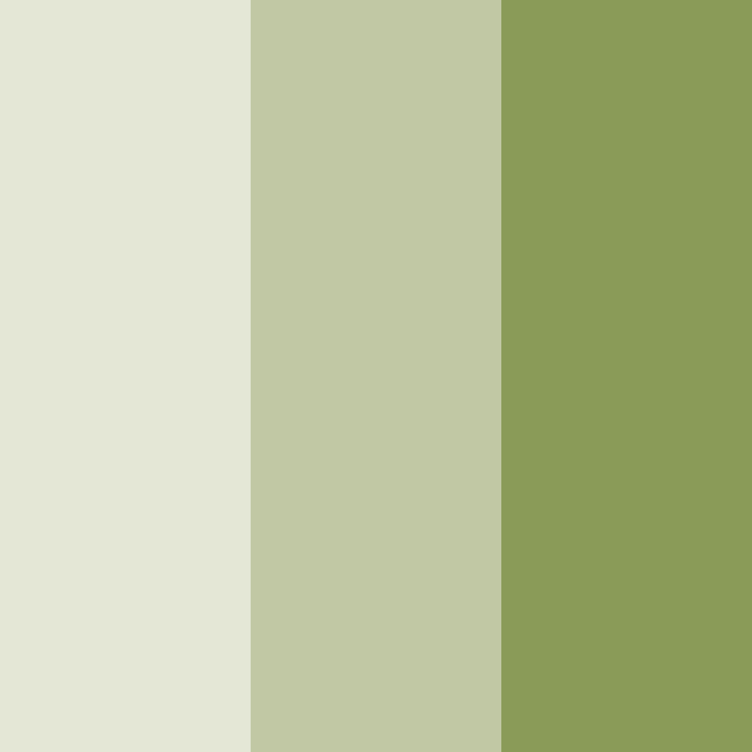 Download green breeze color palette PNG image (square)