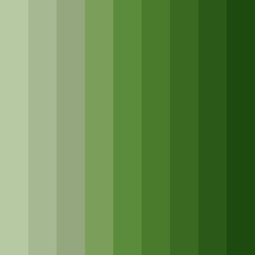Download green willow color palette PNG image (square)