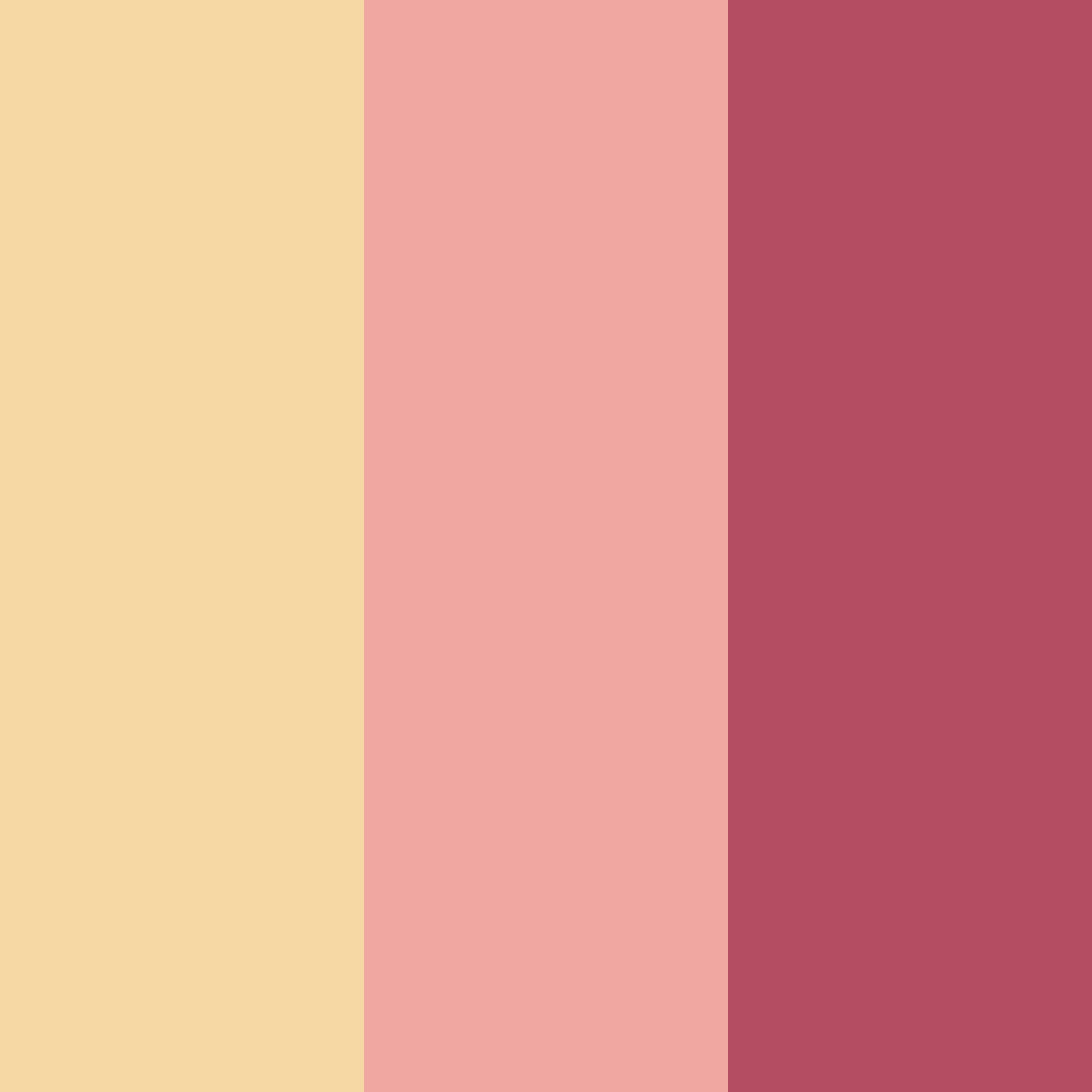 Download warm pink color palette PNG image (square)