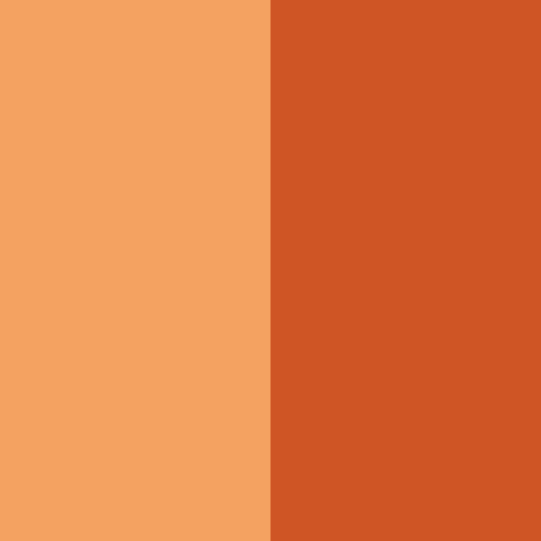 Download autumn ember color palette PNG image (square)