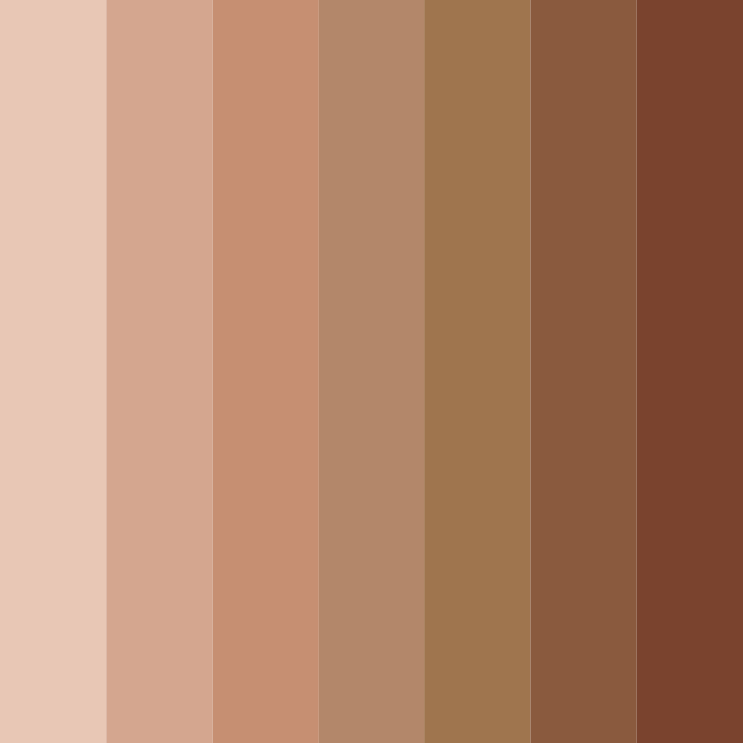Download terracotta shades color palette PNG image (square)