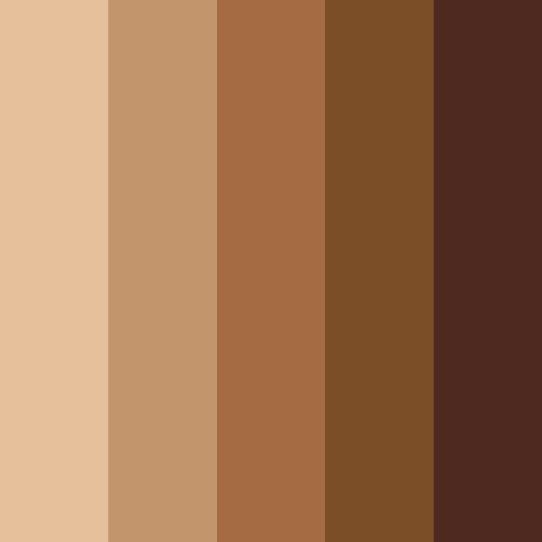 Download brown earth color palette PNG image (square)