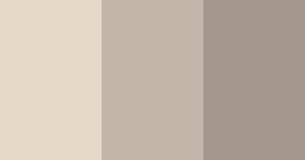 Download beige gray shades color palette PNG image (landscape)