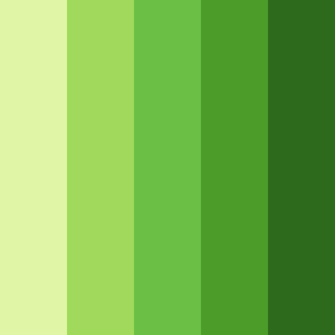 Download emerald awakening color palette PNG image (square)