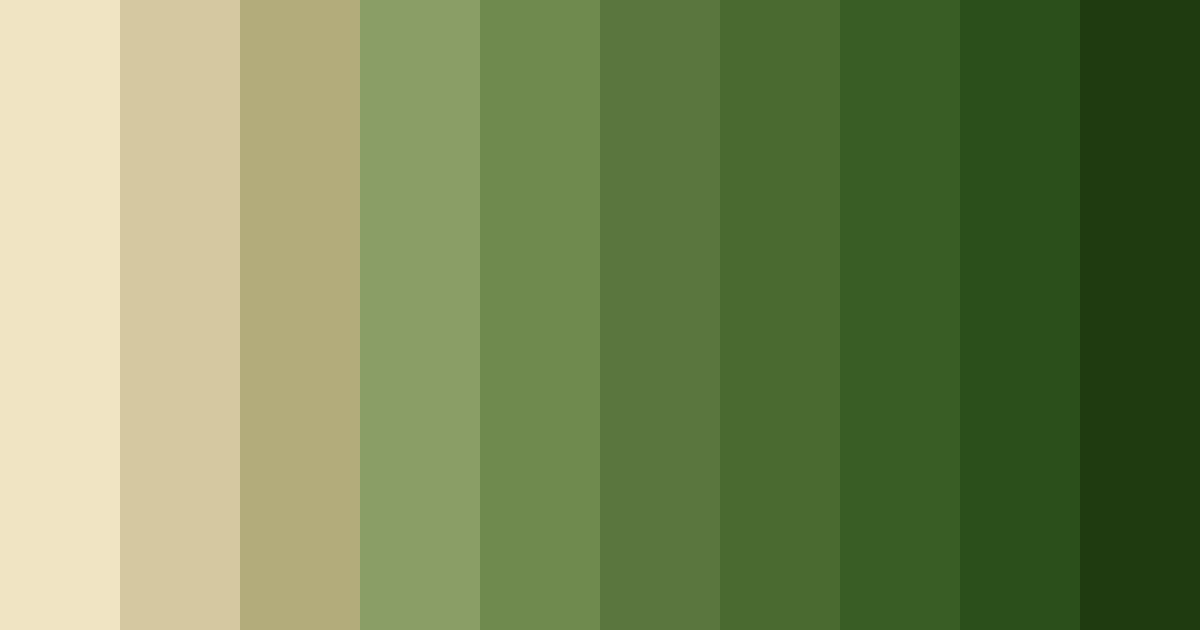 Download misty forest whispers color palette PNG image (landscape)