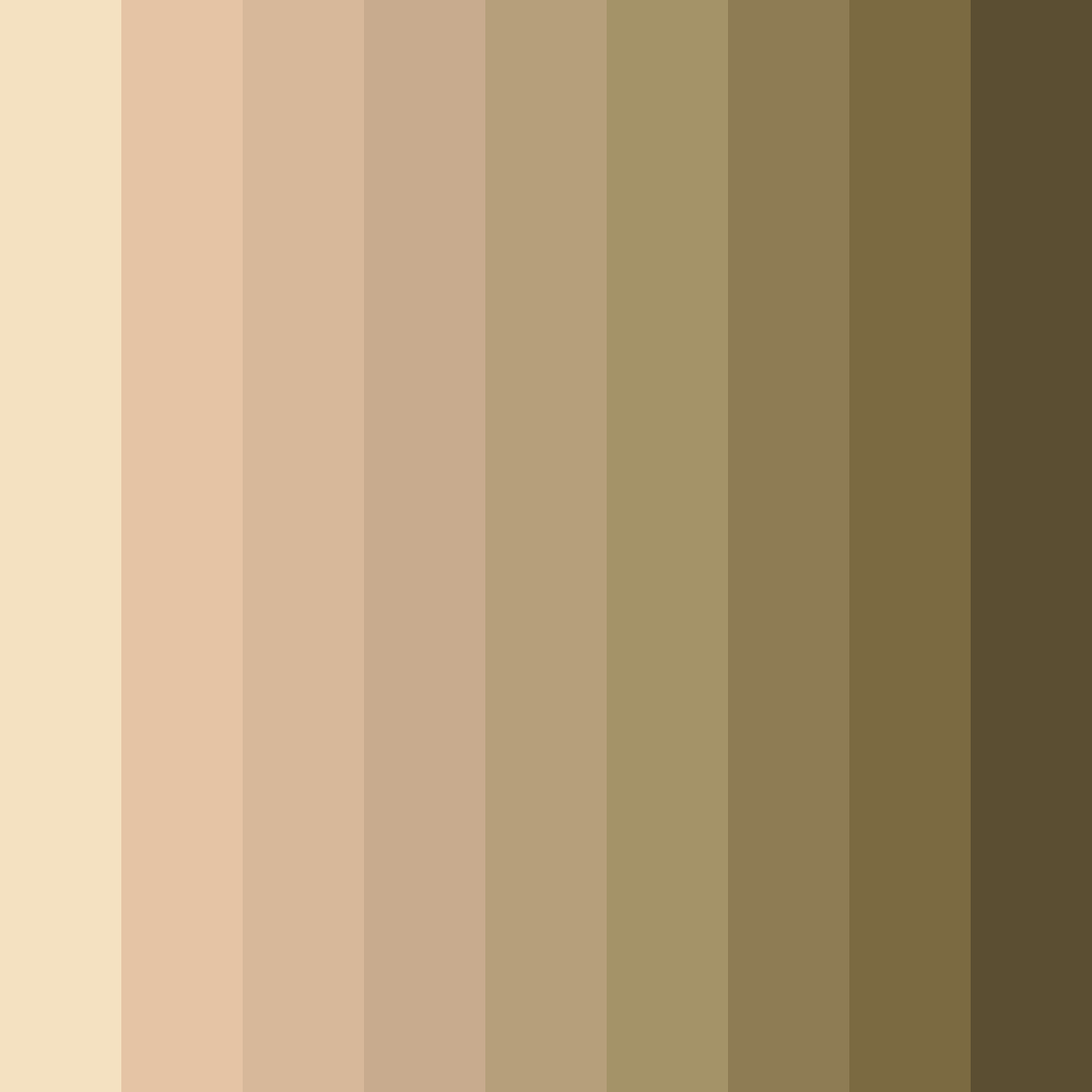 Download light brown color palette PNG image (square)