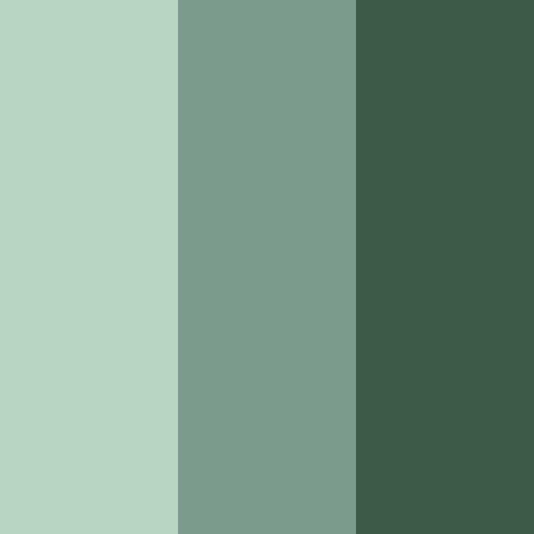 Download dark green color palette PNG image (square)