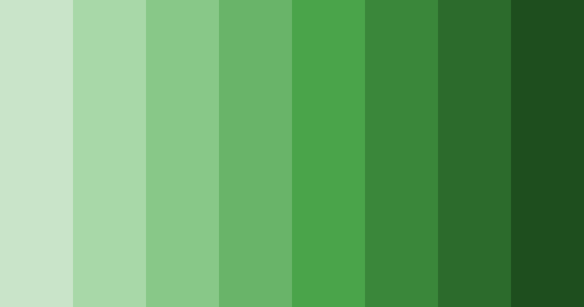 Download emerald harmony color palette PNG image (landscape)