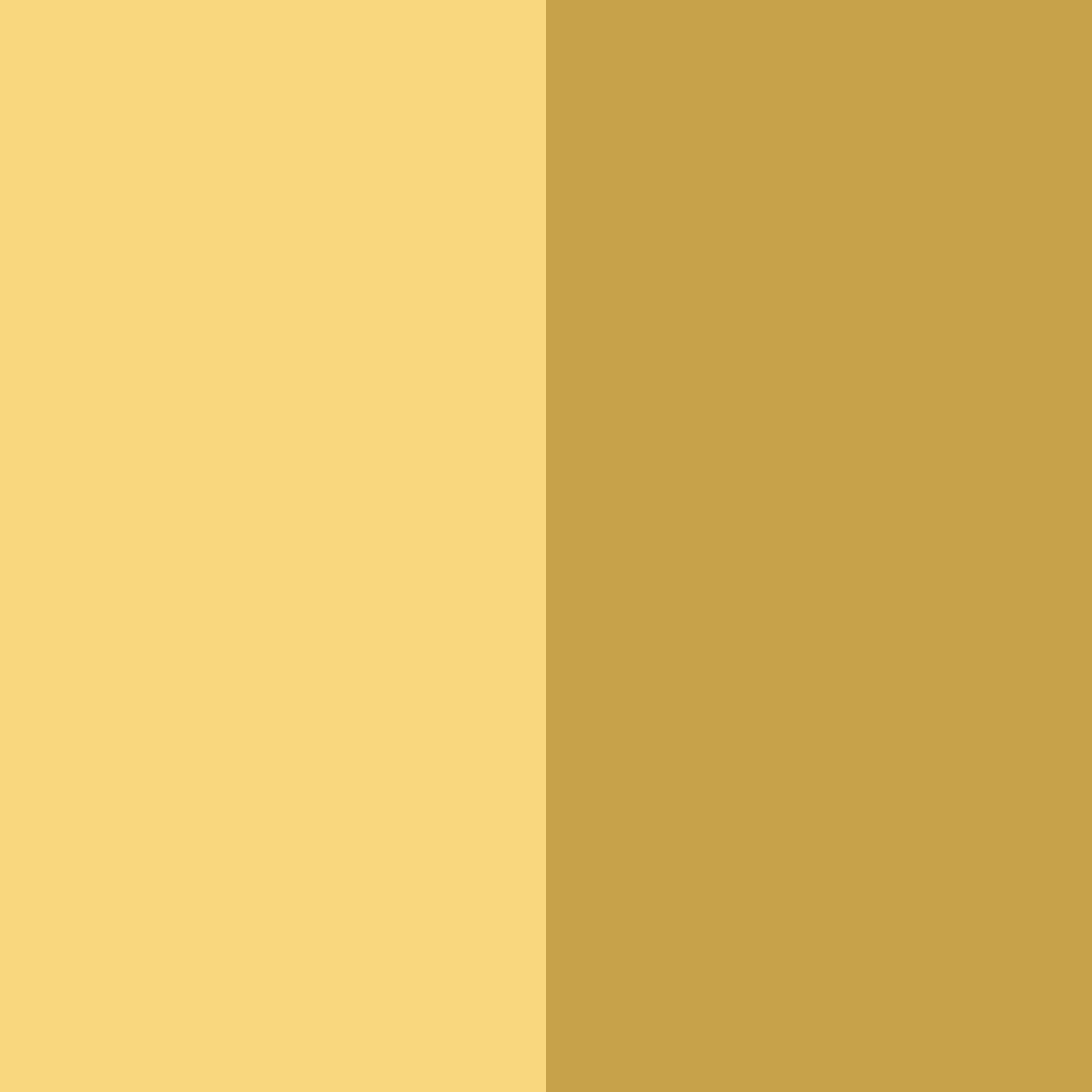 Download golden whisper color palette PNG image (square)