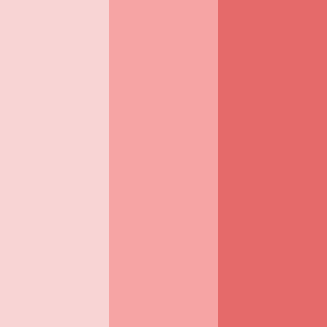 Download blushing petals color palette PNG image (square)