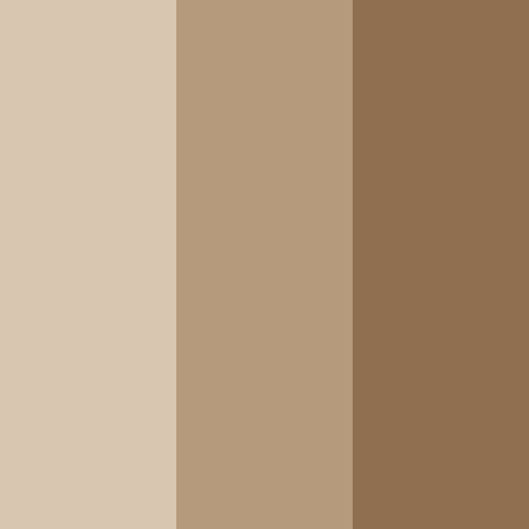 Download warm brown color palette PNG image (square)