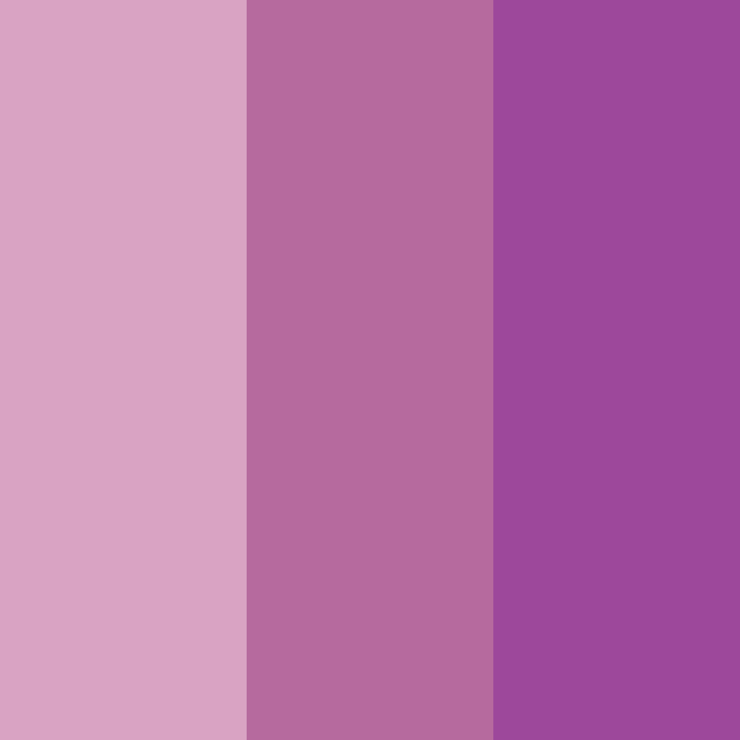 Download blossom elegance color palette PNG image (square)