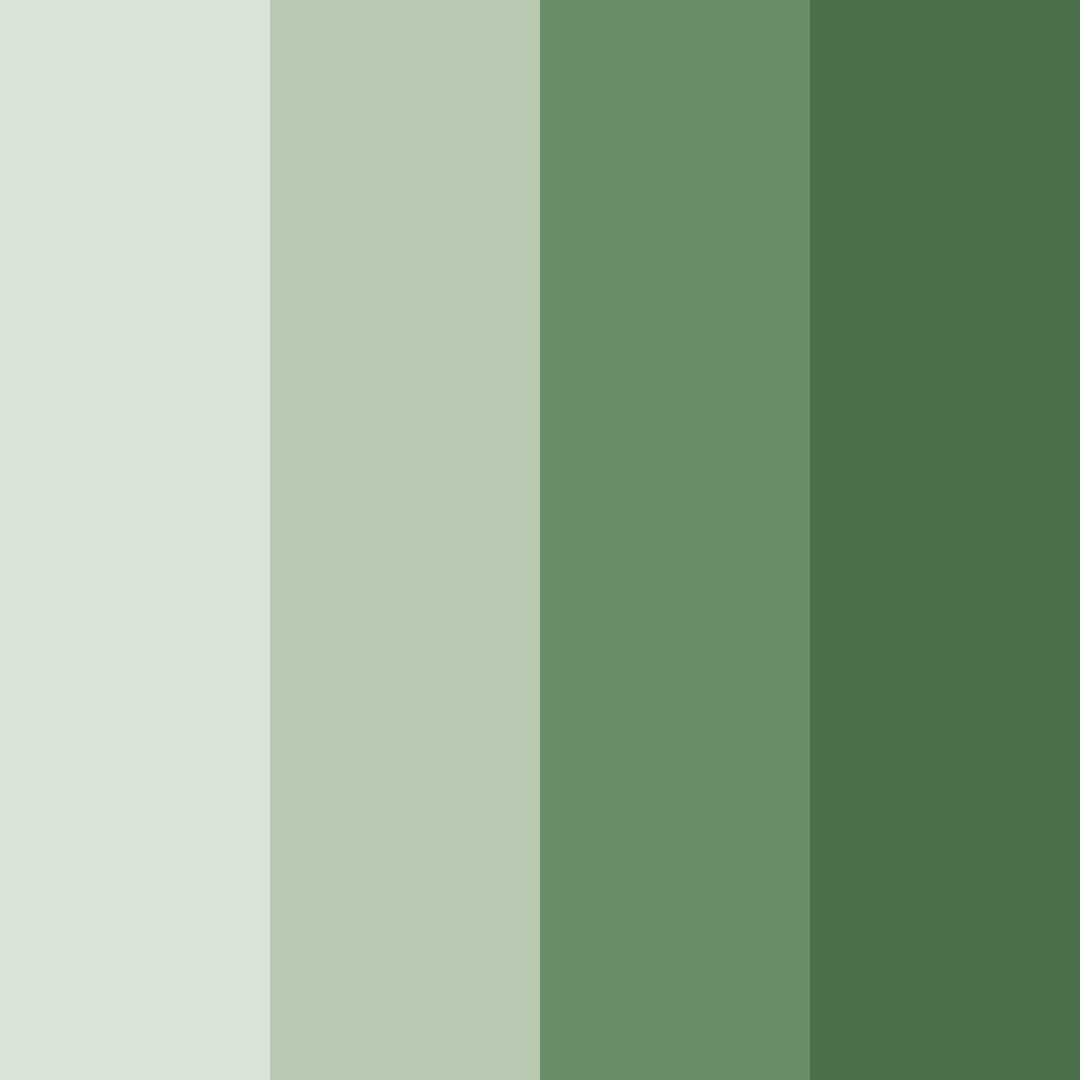Download whispering woods color palette PNG image (square)