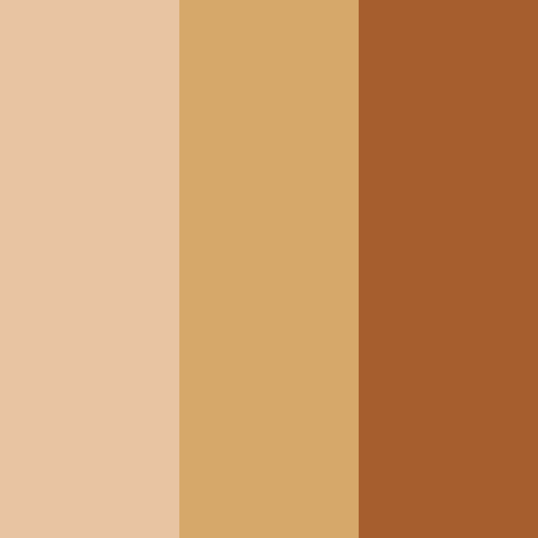 Download chocolate brown color palette PNG image (square)