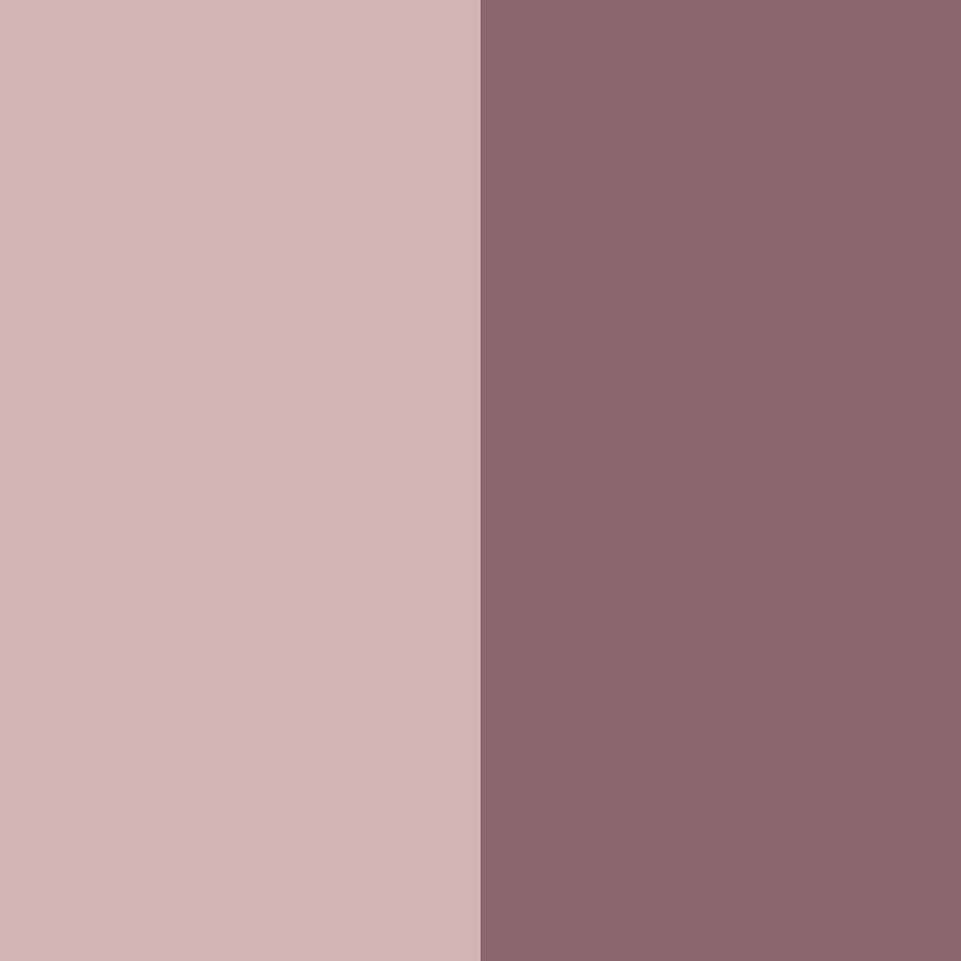 Download muted rose color palette PNG image (square)