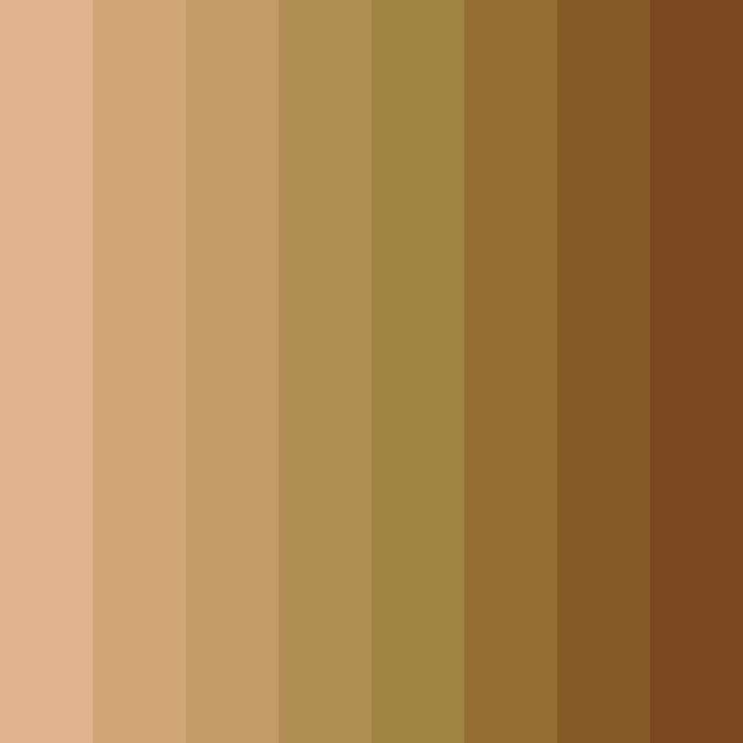 Download timber tones color palette PNG image (square)
