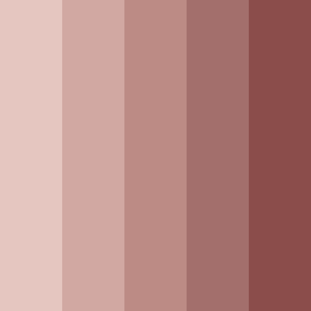 Download rosewood whisper color palette PNG image (square)