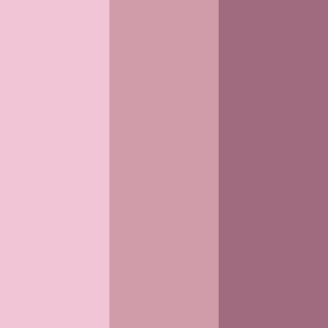 Download gentle blooms color palette PNG image (square)