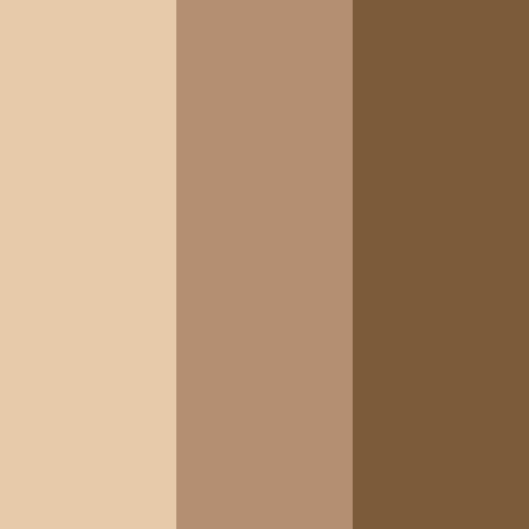 Download nutmeg dream color palette PNG image (square)